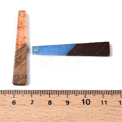 Epoxy Resin & Walnut Wood Pendants RESI-N039-118-1