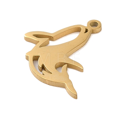 304 Stainless Steel Charms STAS-S138-01G-01-1