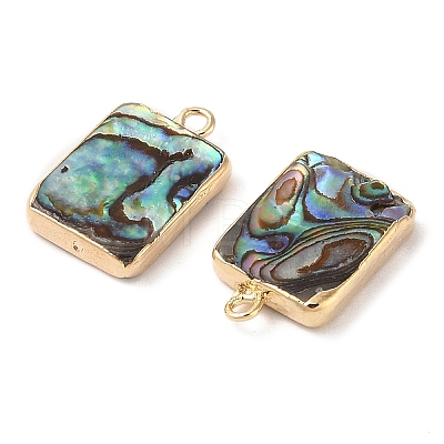 Natural Paua Shell Pendants SHEL-P017-16G-1