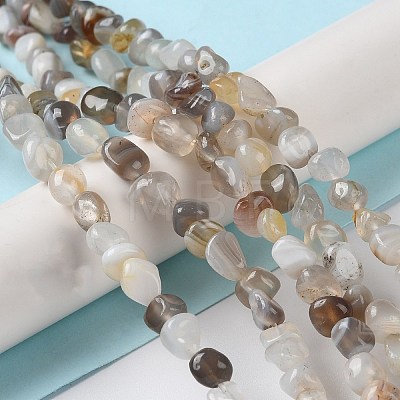 Natural Botswana Agate Beads Strands G-D081-A03-1