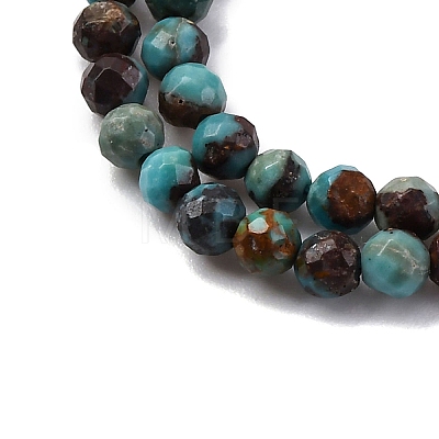 Natural Turquoise Beads Strands G-G195-A01-02-1