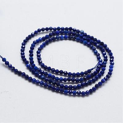 Natural Lapis Lazuli Bead Strands G-G663-48-2mm-1