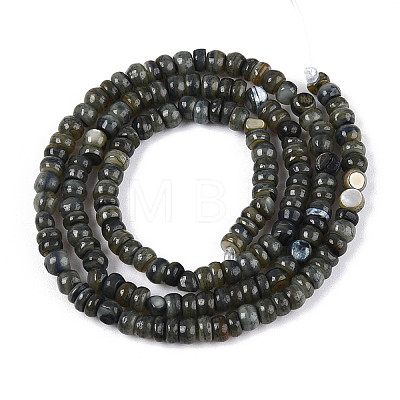 Natural Freshwater Shell Dyed Beads Strands SHEL-T020-29A-1
