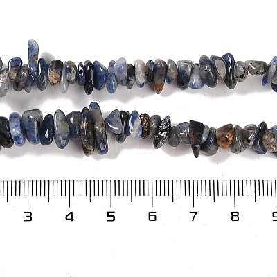 Natural Sodalite Beads Strands G-P530-A01-01-1
