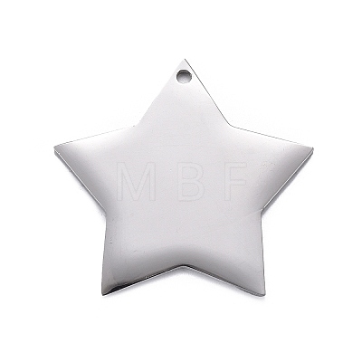 Non-Tarnish 304 Stainless Steel Pendants STAS-F254-07A-P-1