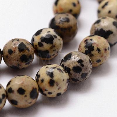 Natural Dalmatian Jasper Beads Strands G-D840-49-8mm-1