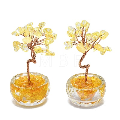 Natural Yellow Quartz Chip Pachira Glabra Display Decorations DJEW-K025-04F-1