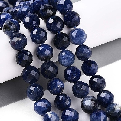 Natural Sodalite Beads Strands G-S345-10mm-26-1