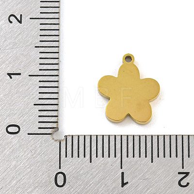 316 Surgical Stainless Steel Enamel Charms STAS-M073-29A-03G-1