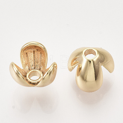 Brass Bead Caps KK-T048-005G-NF-1
