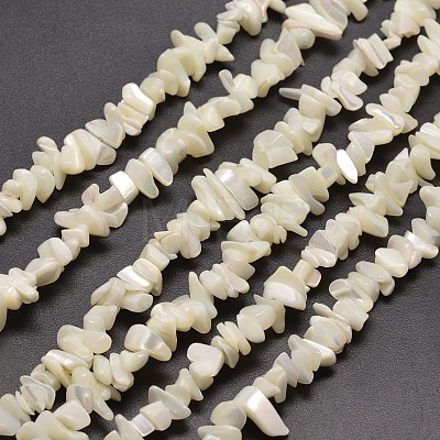 Natural White Mother of Pearl Shell Chip Bead Strands G-M205-63-1