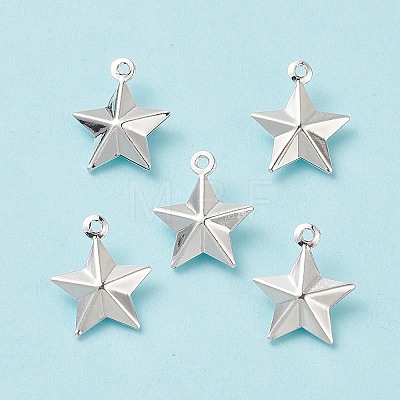 304 Stainless Steel Pendants STAS-I138-12S-1
