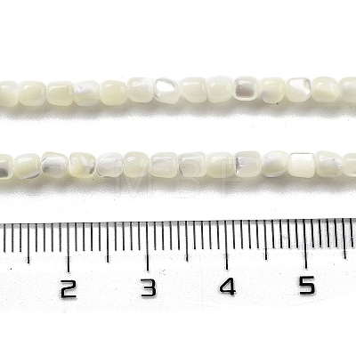 Natural Trochid Shell/Trochus Shell Beads Strands BSHE-G038-01-1