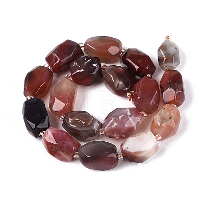 Natural Red Botswana Agate Beads Strands G-N362-07A-06-1