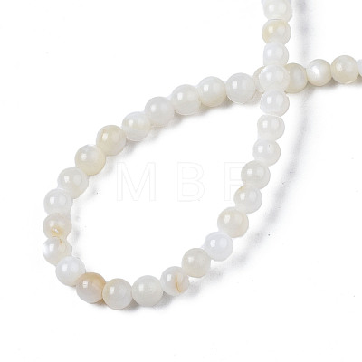 Natural Freshwater Shell Beads Strands BSHE-T009A-01A-1