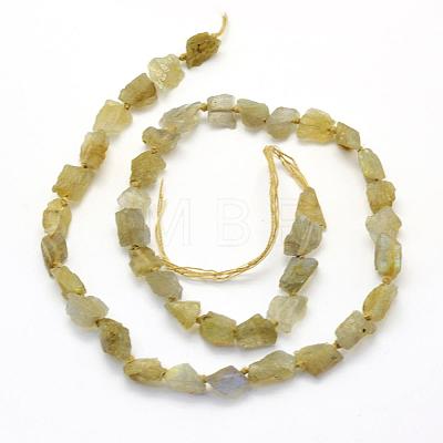 Natural Labradorite Beads Strands G-K202-11C-1