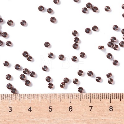 MIYUKI Round Rocailles Beads X-SEED-G008-RR0457B-1