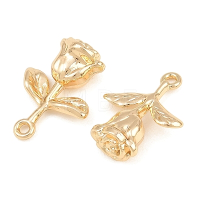 Alloy Pendants AL-CBA83D5-14G-1