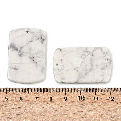 Natural Howlite Pendants G-K354-14I-1