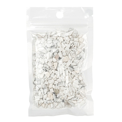 Natural Howlite Chip Beads G-FS0001-12-1