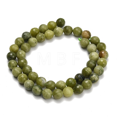 Natural Sinkiang Jade Beads Strands G-L642-F06-8mm-1