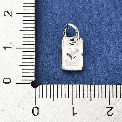 Sterling Silver Charms STER-E070-03D-1