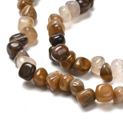 Natural Petrified Wood Beads Strands G-G031-01-1