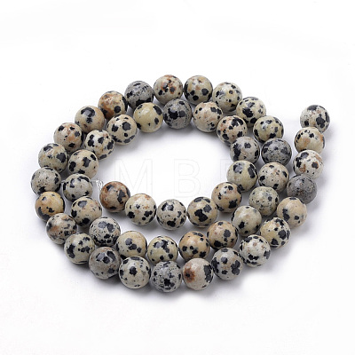 Natural Dalmatian Jasper Beads Strands X-G-S259-24-6mm-1