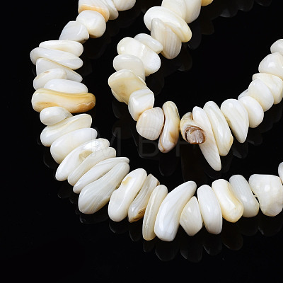 Natural Trochid Shell/Trochus Shell Beads Strands SHEL-S258-080-A01-1