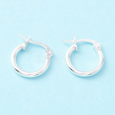 925 Sterling Silver Hoop Earrings STER-P047-13A-S-1