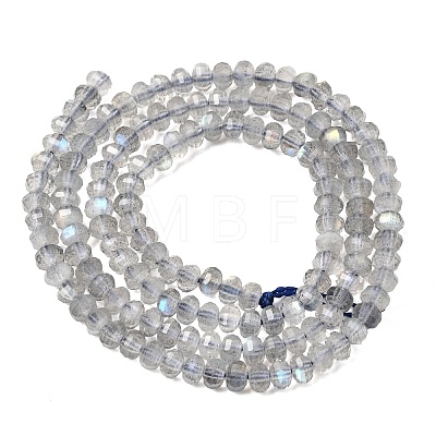 Natural Gray Labradorite Beads Strands G-K376-I03-3x4mm-1