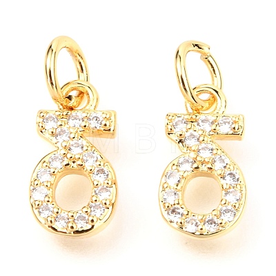 Brass Micro Pave Cubic Zirconia Charms ZIRC-O037-21G-1