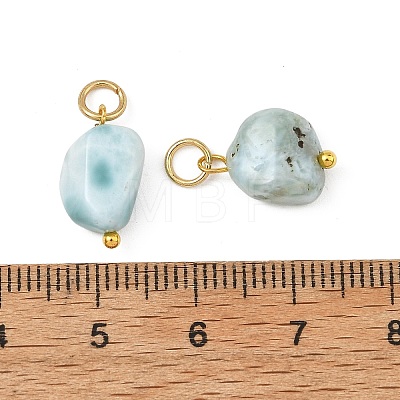 Natural Larimar Pendants PALLOY-JF05952-1