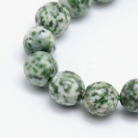 Natural Green Spot Jasper Beads Strands G-L148-14mm-01-1