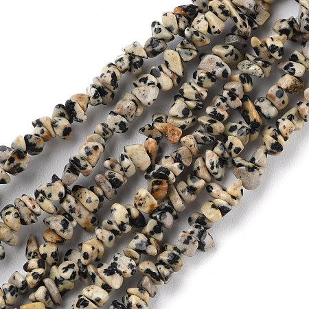 Natural Dalmatian Jasper Beads Strands G-G0003-B29-1