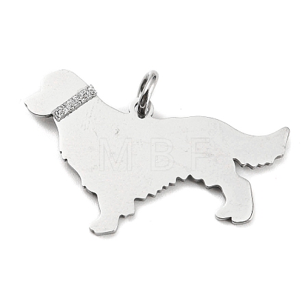 Non-Tarnish 304 Stainless Steel Pendants X-STAS-E205-10P-1