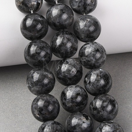 Natural Larvikite Beads Strands G-A310-A03-16mm-1