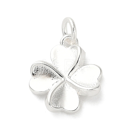 925 Sterling Silver Charms FIND-Z069-04S-C-1
