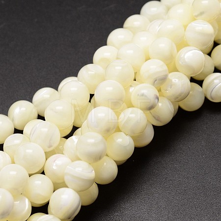 Natural Shell Beads Strands X-SSHEL-E571-39-4mm-1