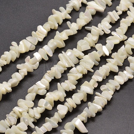 Natural White Mother of Pearl Shell Chip Bead Strands G-M205-63-1