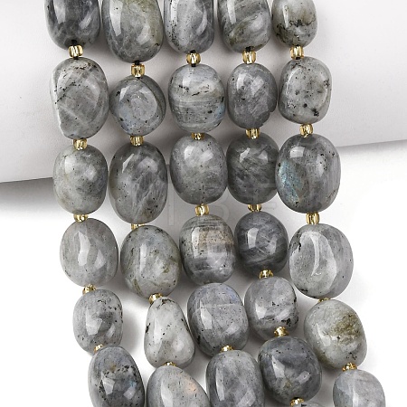 Natural Labradorite Beads Strands G-G453-D10-01-1