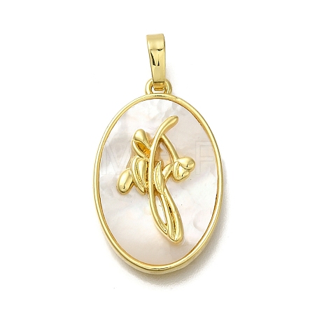 Brass Pave Shell Birth Flower Pendants FIND-I040-04F-1