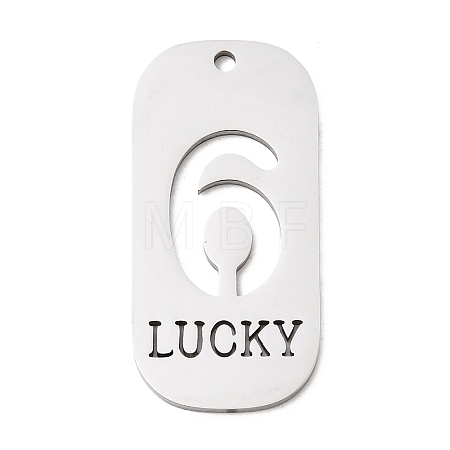 304 Stainless Steel Pendants STAS-D200-02G-P-1