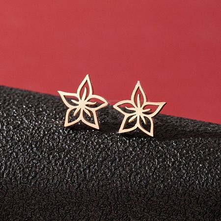 Stainless Steel Stud Earrings for Women PW-WGFE412-29-1