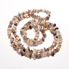 Natural Agate Chip Bead Strands G-M205-44-2