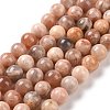 Round Natural Multi-Moonstone Beads Strands X1-G-I176-09-8mm-1