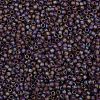 TOHO Round Seed Beads X-SEED-TR08-0166BF-2