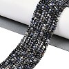 Natural Sapphire Beads Strands G-P553-G07-02-6