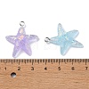 Transparent Resin Pendants RESI-C043-02P-3