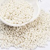Baking Paint Glass Seed Beads X1-SEED-A033-05D-1